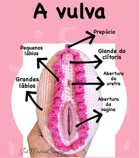 Pdf Português Da Vulva Didática Etsy