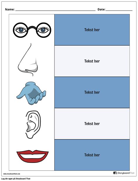 5S Portrettfarge 1 Storyboard Por No Examples