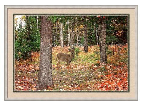 Whitetail Deer Wall Art Autumn Wall Decor Autumn Art Forest - Etsy