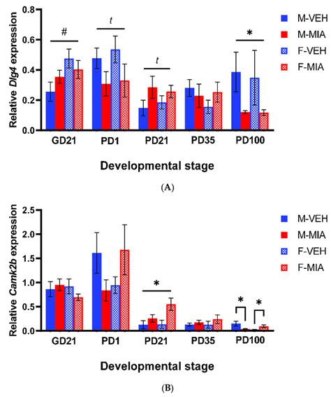 Dlg Psd And Camk B Camkii Gene Expression Across Development