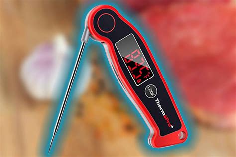 Top 12 Best Meat Thermometers (2024 Review Update) - Meat Making Tools