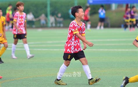 예산윤봉길배 유소년축구대회 22일 개막 굿모닝충청