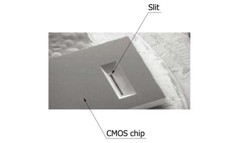 Mini Spectrometer Micro Series C Ma Hamamatsu Photonics