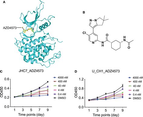 Frontiers Proteomics And Phosphoproteomics Of Chordoma Biopsies