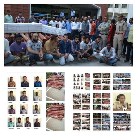 International Level Red Sandalwood Smuggling Racket Busted By CCB Police