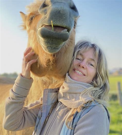 Über mich Dein Weg zum Pferd