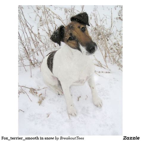 Foxterriersmooth In Snow Statuette Zazzle Smooth Fox Terriers