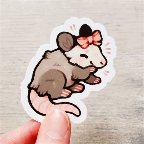 Pretty Opossum Sticker Cute Possum Stickers Cute Animal Sticker