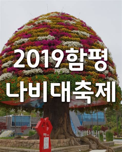 2019함평나비대축제 열리는 함평엑스포공원 함평볼거리 많아요 네이버 블로그