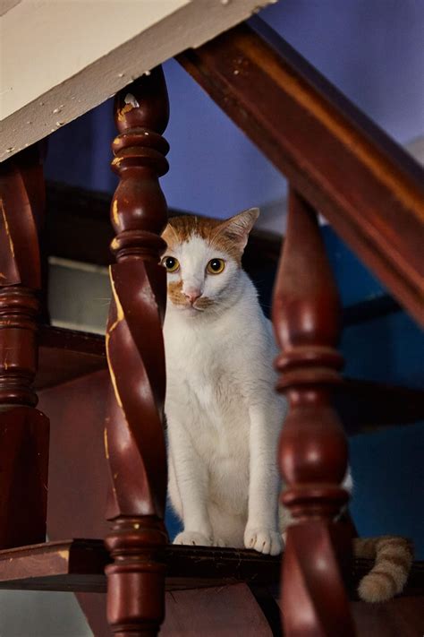 Hẻm Gems: The Secret Realm of Good Vibes Behind the Doors of Passengers