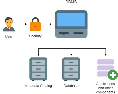 What Is a Database Management System? DBMS Explained | Built In