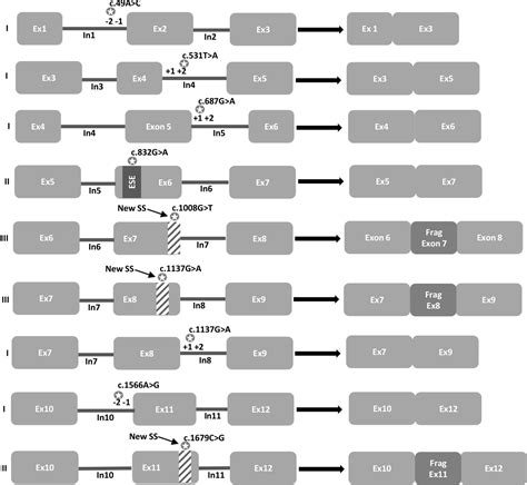 CDH1 Germline Mutations In Healthy Individuals From Families With The