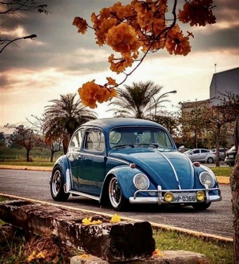 Pin By Sergio Munoz On Love Bugs Vw Art Vintage Volkswagen Vintage Vw