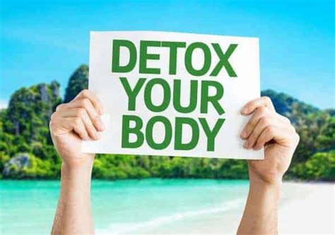 Why Should You Cleanse And Detoxify Your Body I Thelifeco