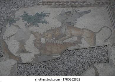 Ancient Mosaics Great Palace Constantinople Istanbul Stock Photo ...