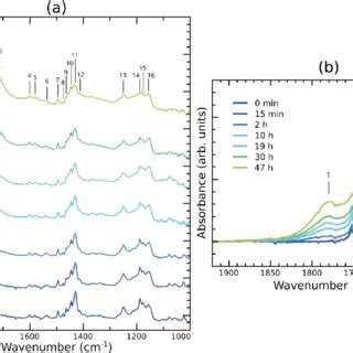 Ftir Absorption Spectra Of Pc Bm Thin Films Exposed To Light In Air