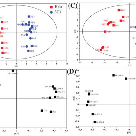 A Pca Scores Plot And B Loadings Plot Of Fa Data Expressed As Of