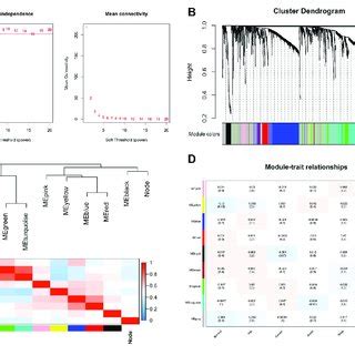 Construction Of Co Expression Network Through Wgcna A Network