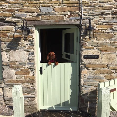 Animal lovers argue over the new pets pantry location and accessibility 7