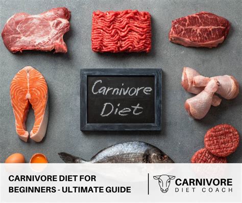 Carnivore Diet For Beginners The Ultimate Guide The Carnivore Diet