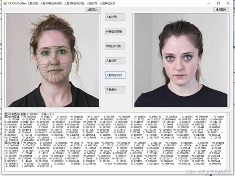 C Dlibdotnet 人脸识别、人脸68特征点识别、人脸5特征点识别、人脸对齐，三角剖分，人脸特征比对 编程之家