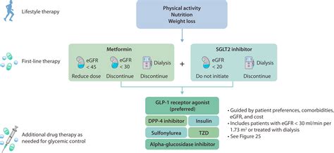 Kdigo 2022 Clinical Practice Guideline For Diabetes Management In