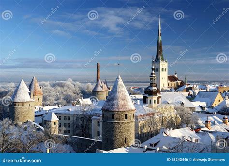 Tallinn City Estonia Snow On Trees In Winter Royalty Free Stock Image