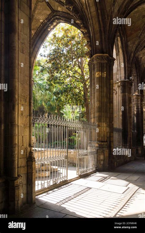 Barcelona, La Catedral, Cathedral, Pla de la Seu, cloister Stock Photo - Alamy