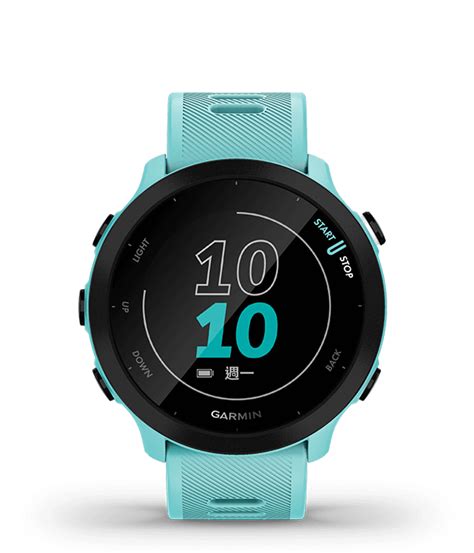 Forerunner 955 Solar GPS Running Smartwatch Garmin Philippines