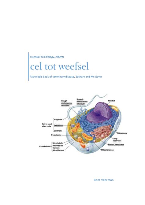 CW Samenvatting Boeken Essential Cell Biology Alberts Cel Tot