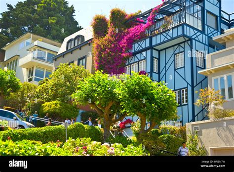 House On Lombard Crookedest Street San Francisco California Blue Red