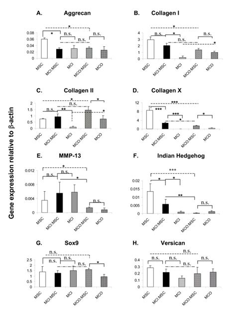 Gene Expression Analysis Of Mono Cultured And Co Cultured Cell Pellets