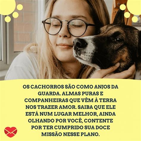 Mensagens Para Quem Perdeu Um Cachorro - 7