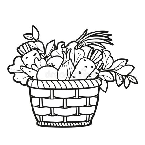 Wicker Basket With Fresh Vegetables Outlined For Coloring Book On White