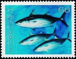 Stamp Skipjack Tina Katsuwonus Pelamis Micronesia Federated States