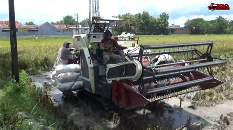 Lahan Berair Tetap Panen Cepat Kombi Sawah Maxxi Bimo L Youtube