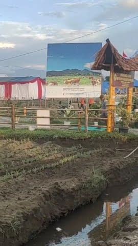 PENAS TANI NELAYAN KE 16 2023 DI PADANG SUMATRA BARAT YouTube