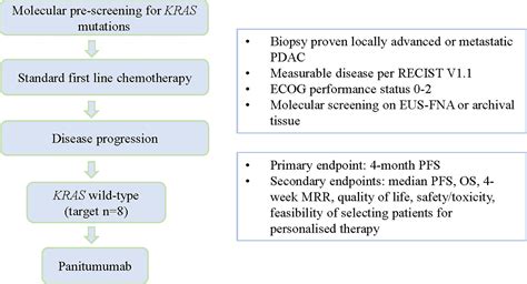 Frontiers Eus Fna Biopsies To Guide Precision Medicine In Pancreatic