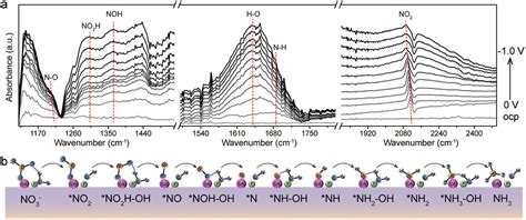 Atomic CoP Catalytic Pair Drives Efficient Electrochemical Nitrate