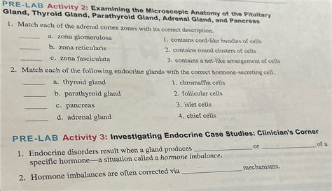 Solved Pre Lab Activity Examining The Microscopic Anatomy Chegg