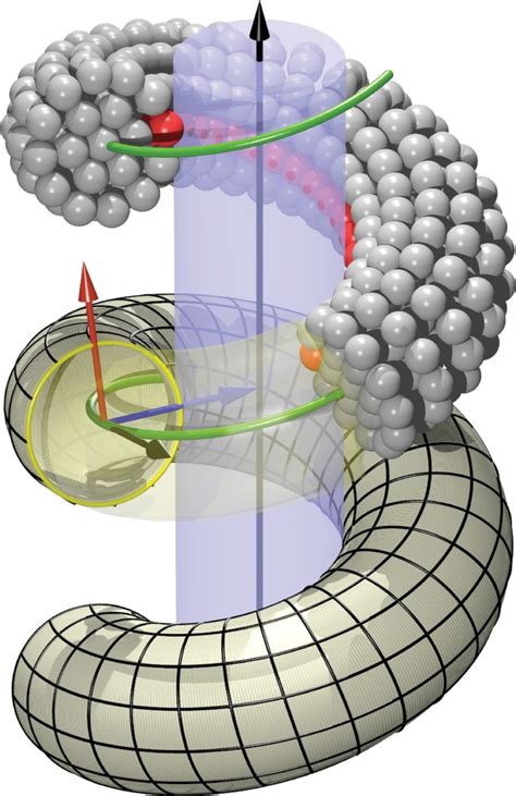 Figures And Data In The Role Of Scaffold Reshaping And Disassembly In