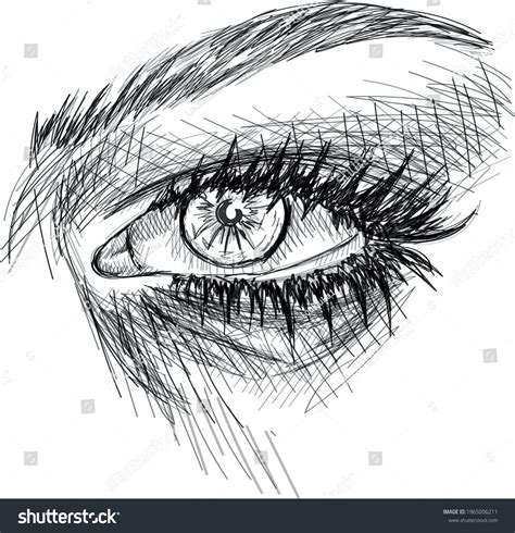 Realistic Eye Art Sketch Vector Stock Vector (Royalty Free) 1965006211 ...