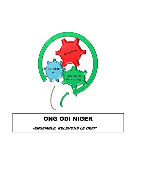 L Ong Odi Recrute Un Comptable Projet Niamey Niger Jobrapide