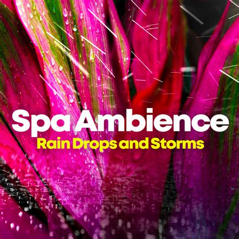 Spa Ambience Rain Drops And Storms Album By Rain Shower Spa Spotify