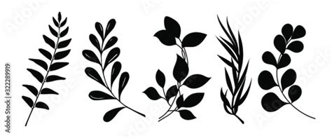 Set Of Leaves Silhouette Of Beautiful Plants Leaves Plant Design