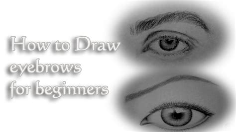 How To Draw Eyebrows For Beginners