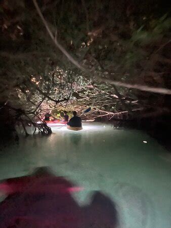 Night Kayak Key West Cayo Hueso Key West Qu Saber Antes De