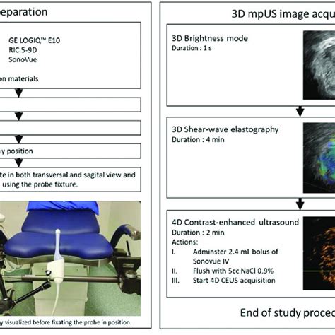 Study Procedure Ceus Contrast Enhanced Ultrasound 3d Three