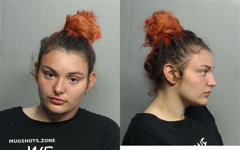 Willis Jordan Nevaeh 02 08 2021 Miami Dade County Mugshots Zone