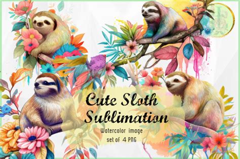 Cute Sloth Watercolor Sublimation Graphic By JL Digital Art Creative